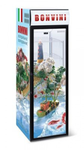Шкаф BONVINI 500BGC