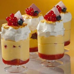 Купить набор емкостей для десерта 150мл d75мм h85мм, 100шт., пластик, цвет прозрачный pmoco007 – цена от завода, доставка до двери | RuOborudovanie.ru